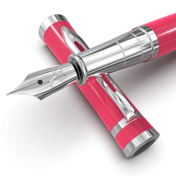 Wordsworth & Black Fountain Pen Set, 18K Gilded Fine Nib, Includes 24 Pack Ink Cartridges, Ink Refill Converter & Gift Box, Gold Finish, Calligraphy, [Silver Gold], Perfect for Men & Women